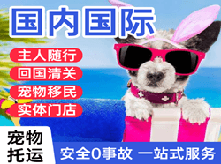 毕节飞雄航空物流国际宠物托运 【国